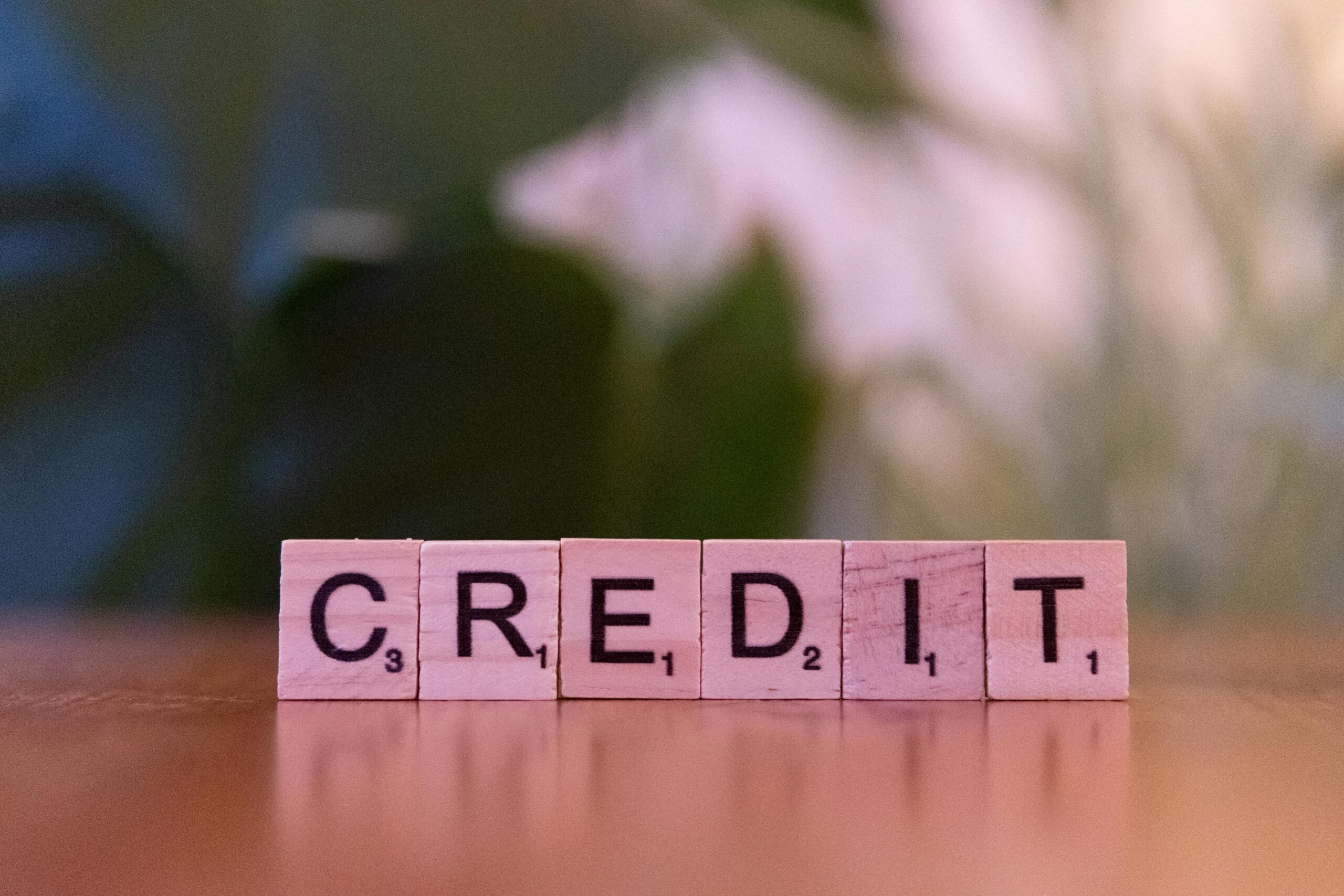 How Your Credit History Impacts Loan Approvals & Interest Rates in the U.S.-SinoLoanHub: Expert Business Loan Solutions for North American Companies