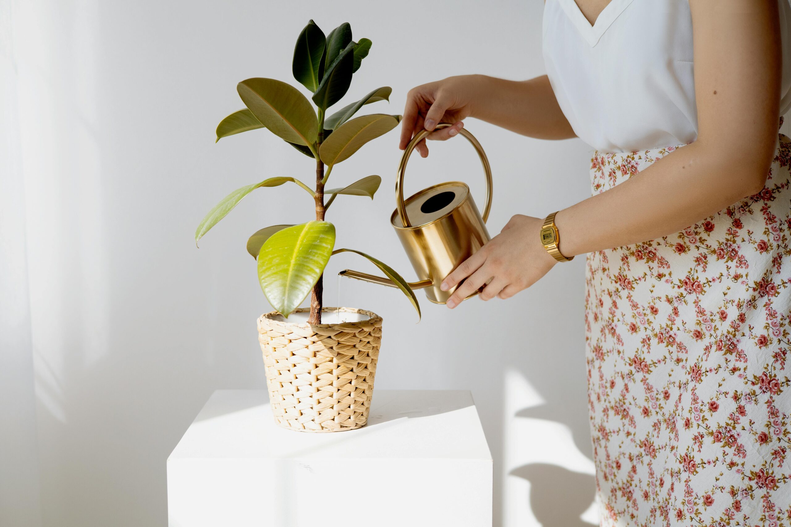 Green Gold Rush: How US Investors Can Fund Tomorrow's Eco-Projects Today-SinoLoanHub: Expert Business Loan Solutions for North American Companies